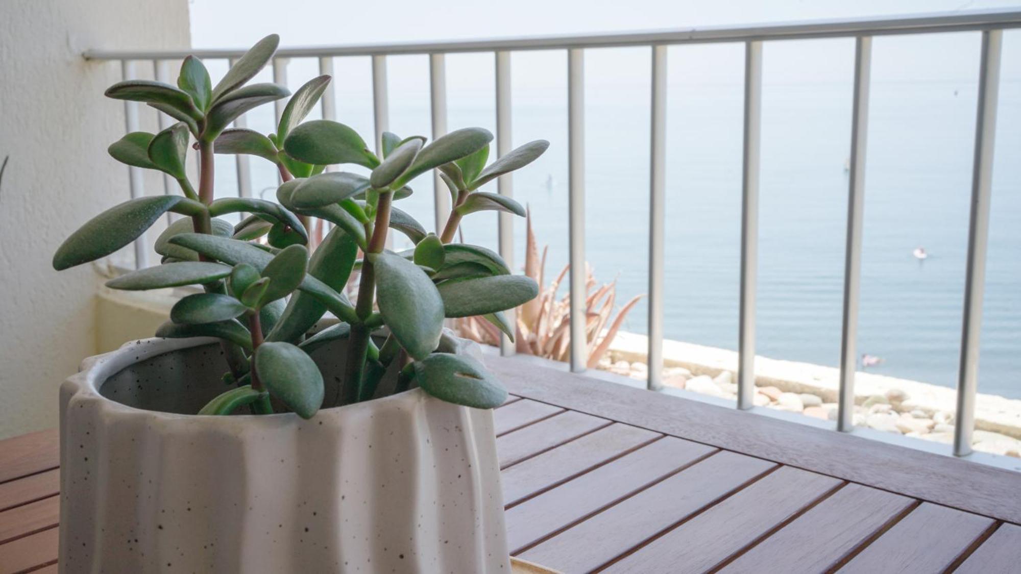 Apartamento Brisa Del Mar Almuñécar 외부 사진